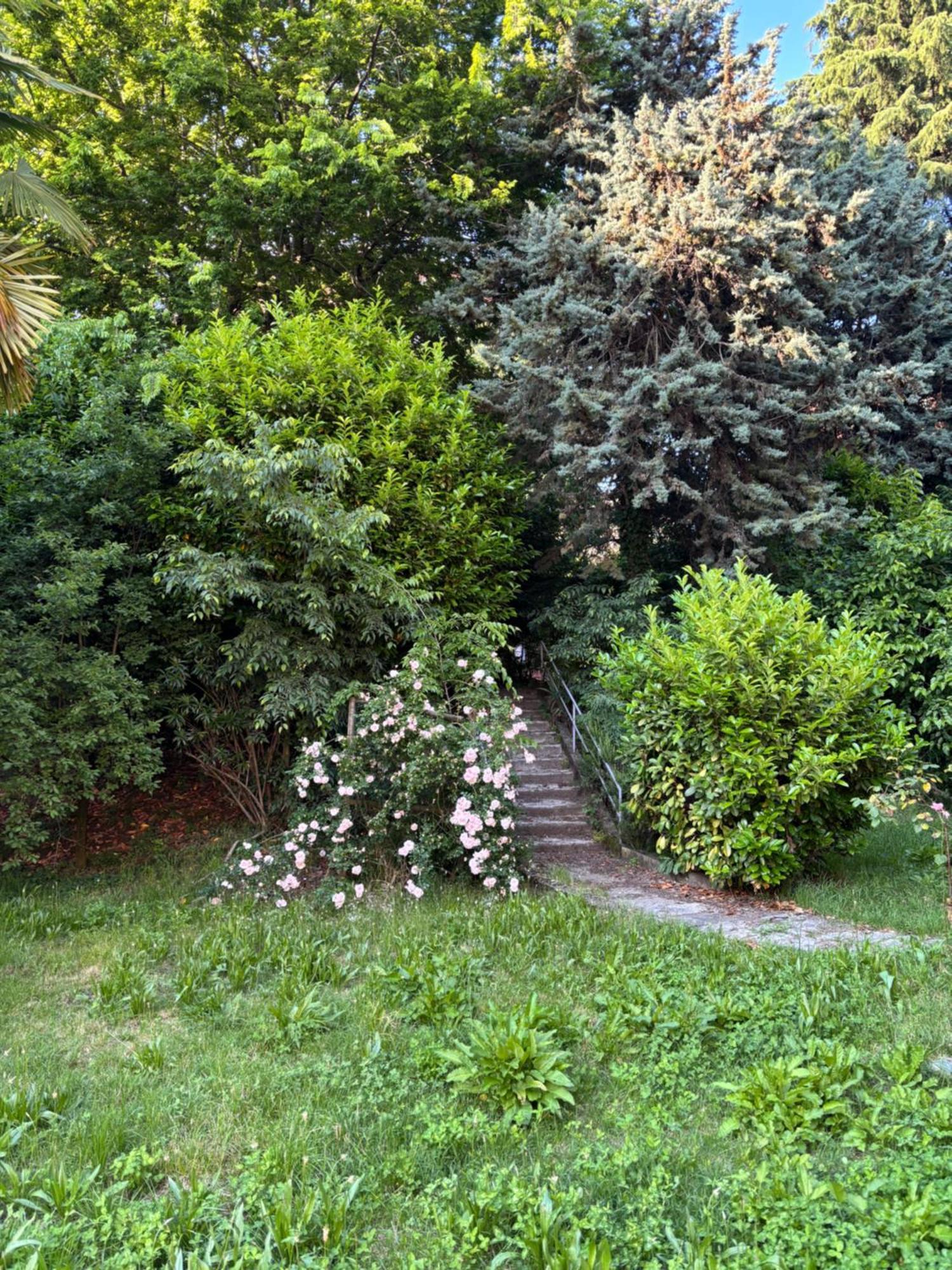 Ciaomi - & Long - Niguarda & Bicocca Affittacamere *